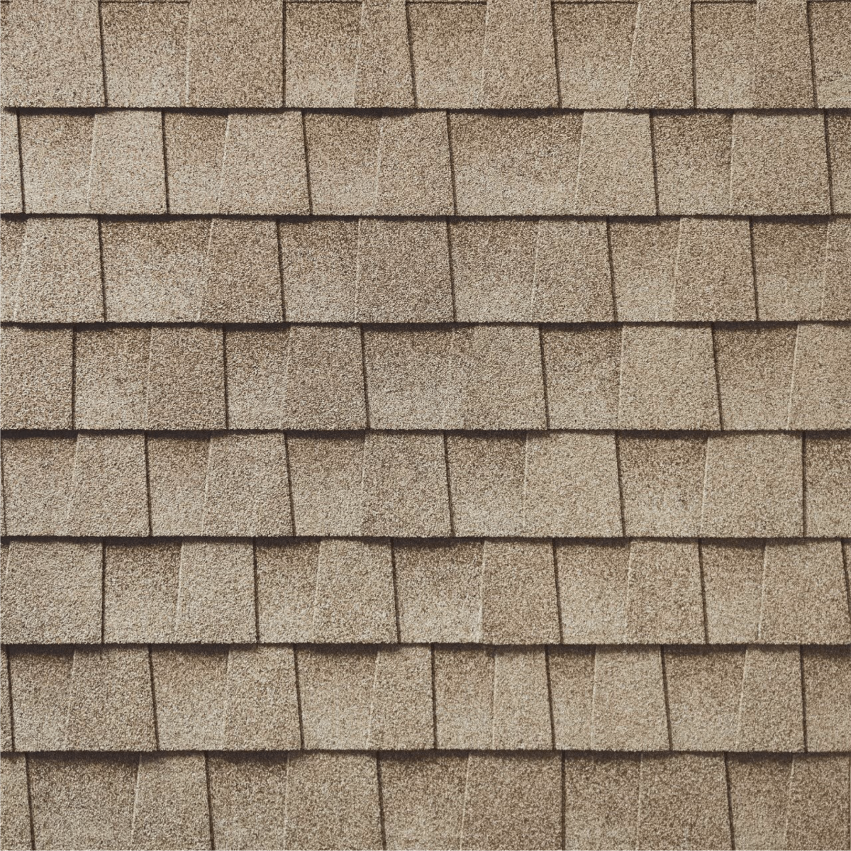 Coastal Construction Images