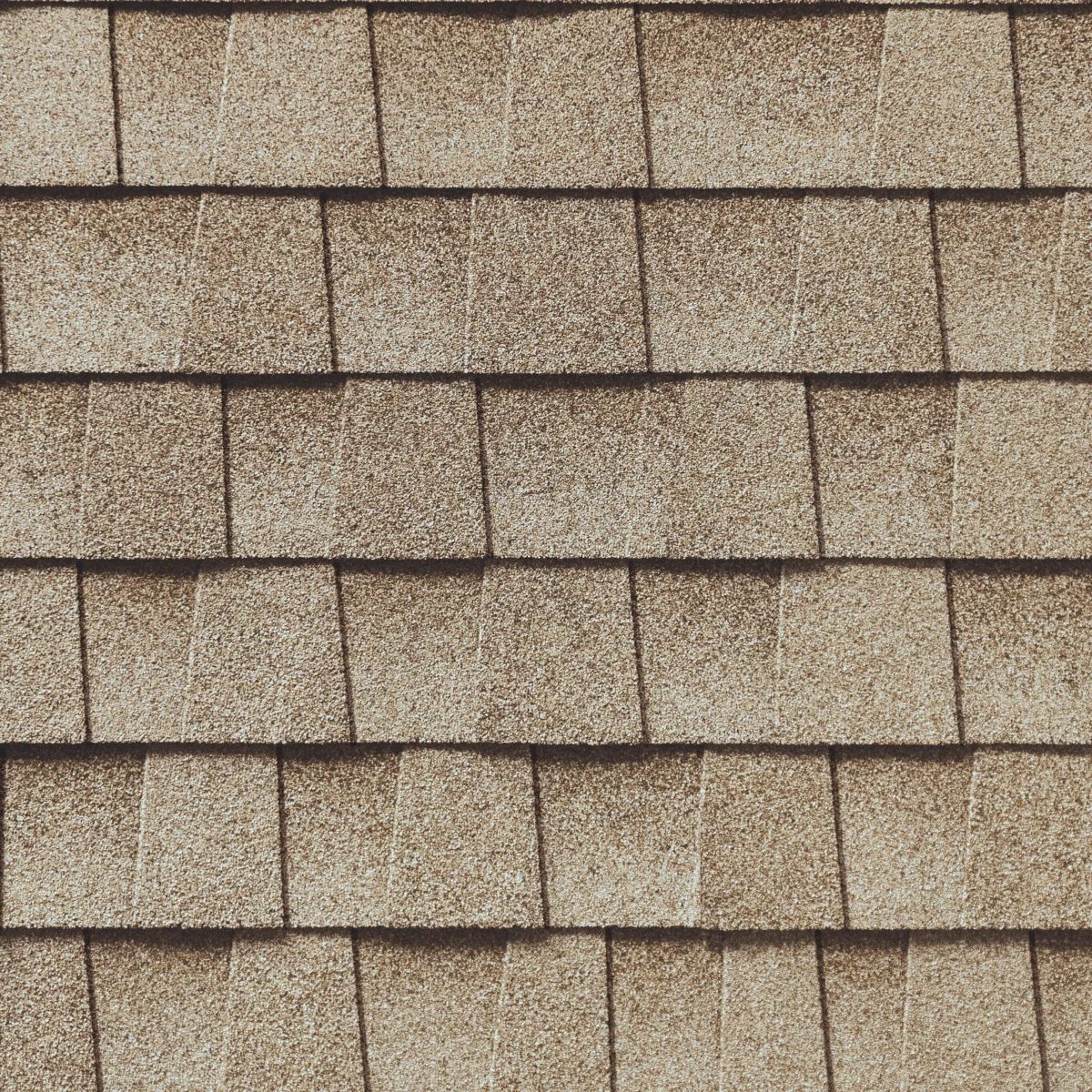 Coastal Construction Images